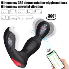 APP Control 360° Rotation Vibrating Prostate Anal Plug