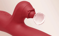 Wiggling G Spot Vibrator with Clitoral Teaser