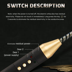 Electrifying Dominance E-Stim Riding Crop